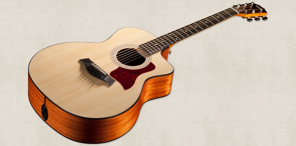 100-series-front-taylor-guitars-large