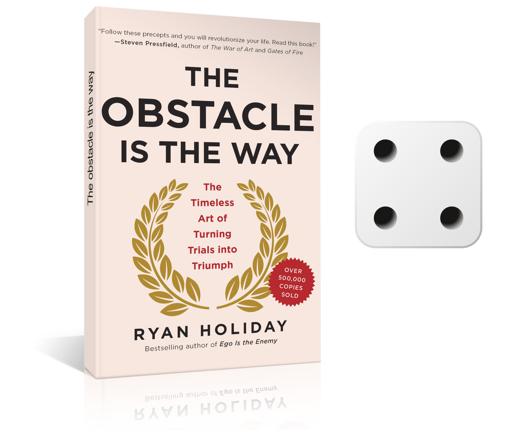 the obstacle is the way review